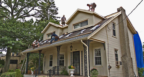 Best Storm Damage Roof Repair  in Miami Heights, OH