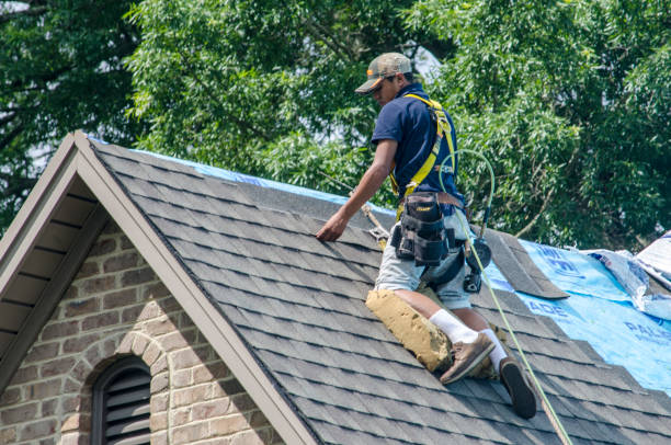 Best Gutter Installation and Roofing  in Miami Heights, OH